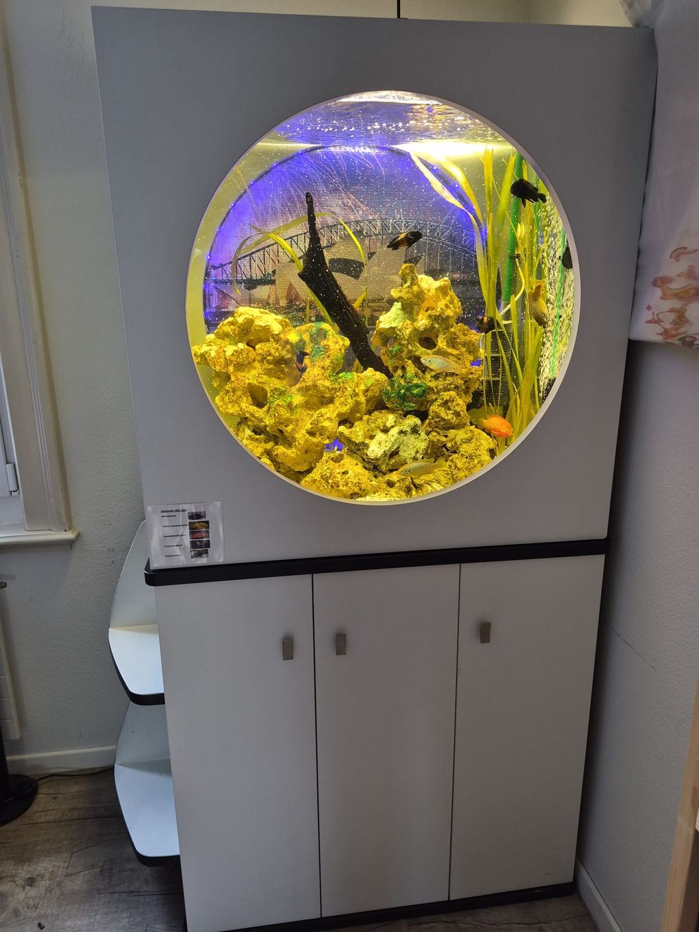 Acquari: Aquarium 400 Liter – Usato da Oftringen venduto da puli8 3
