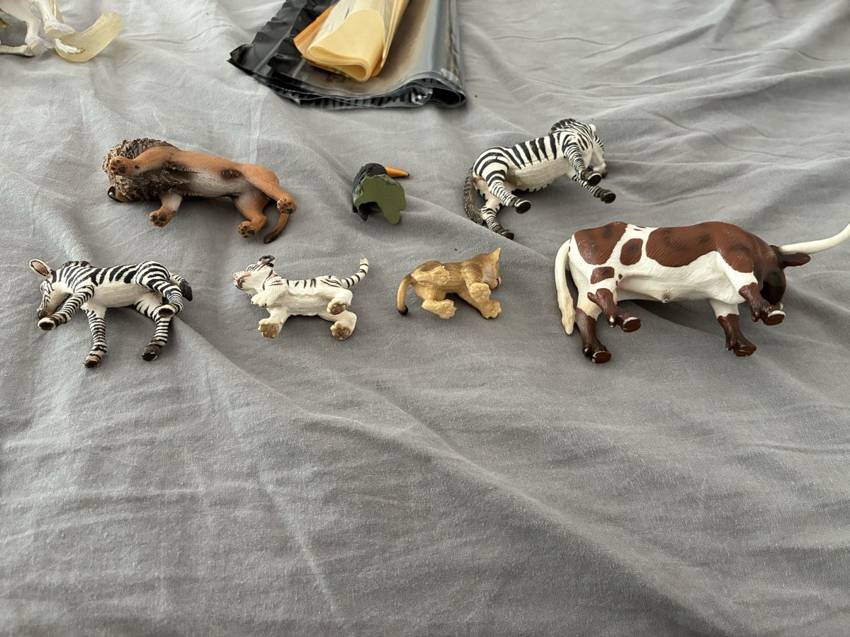 Schleich Figuren: Schleich Wildtiere – Gebraucht aus Wetzikon ZH von Higure 2