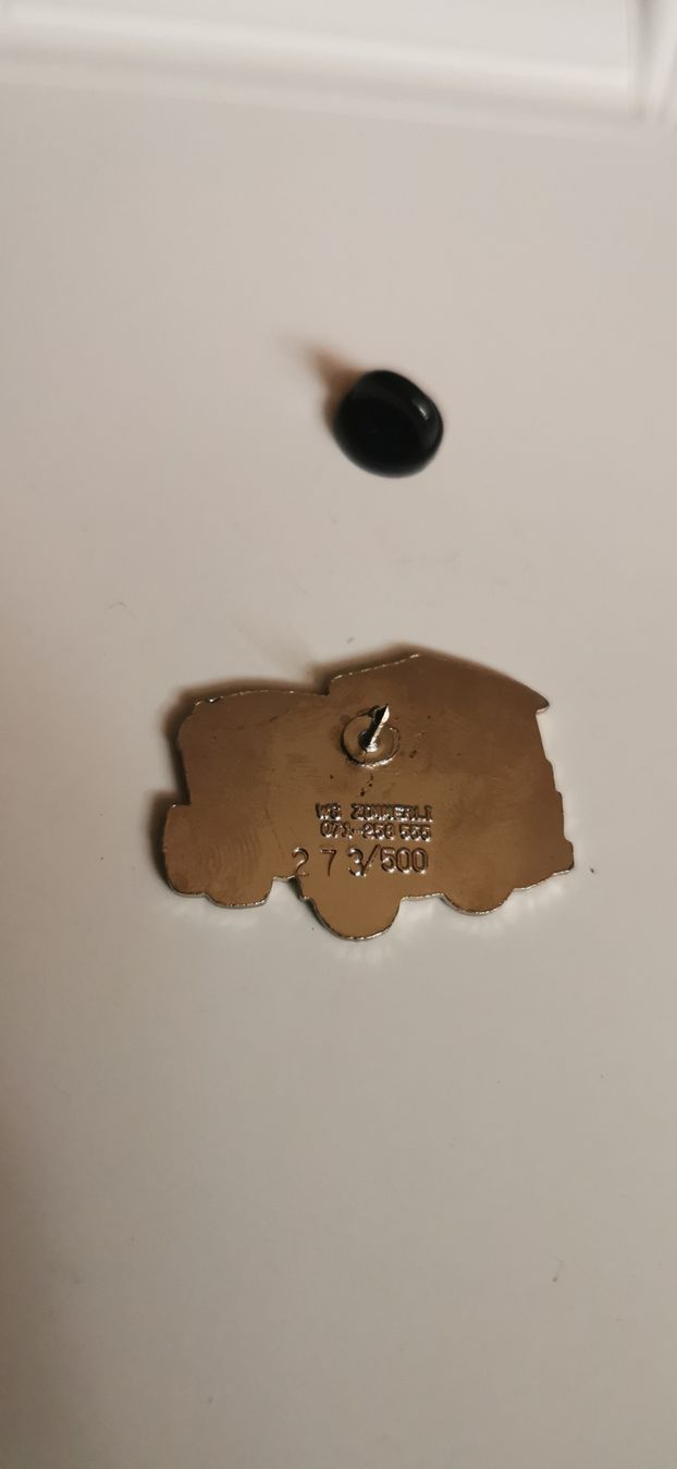 Plaketten & Abzeichen: Pin Camion  – Gebraucht aus Genève von vins50 1