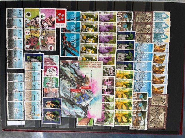Tutti i francobolli: Schweizer Briefmarken 1862 -2025 93 Seiten – Usato da Zürich venduto da han_s2g2 9