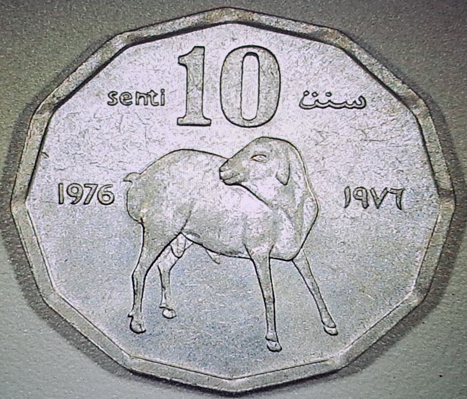 Alle Münzen: Somalia 10senti 1976 – Gebraucht aus Tenniken von mik_6mxg