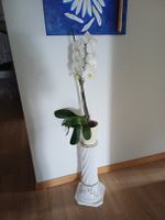 Griech. Säule elegant, 51 cm hoch, sehr dekorativ, Hingucker