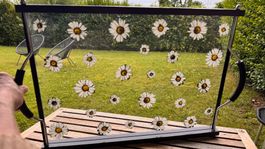 Margeriten Sommer-Serviertablett (Glas/Holz/Metall)