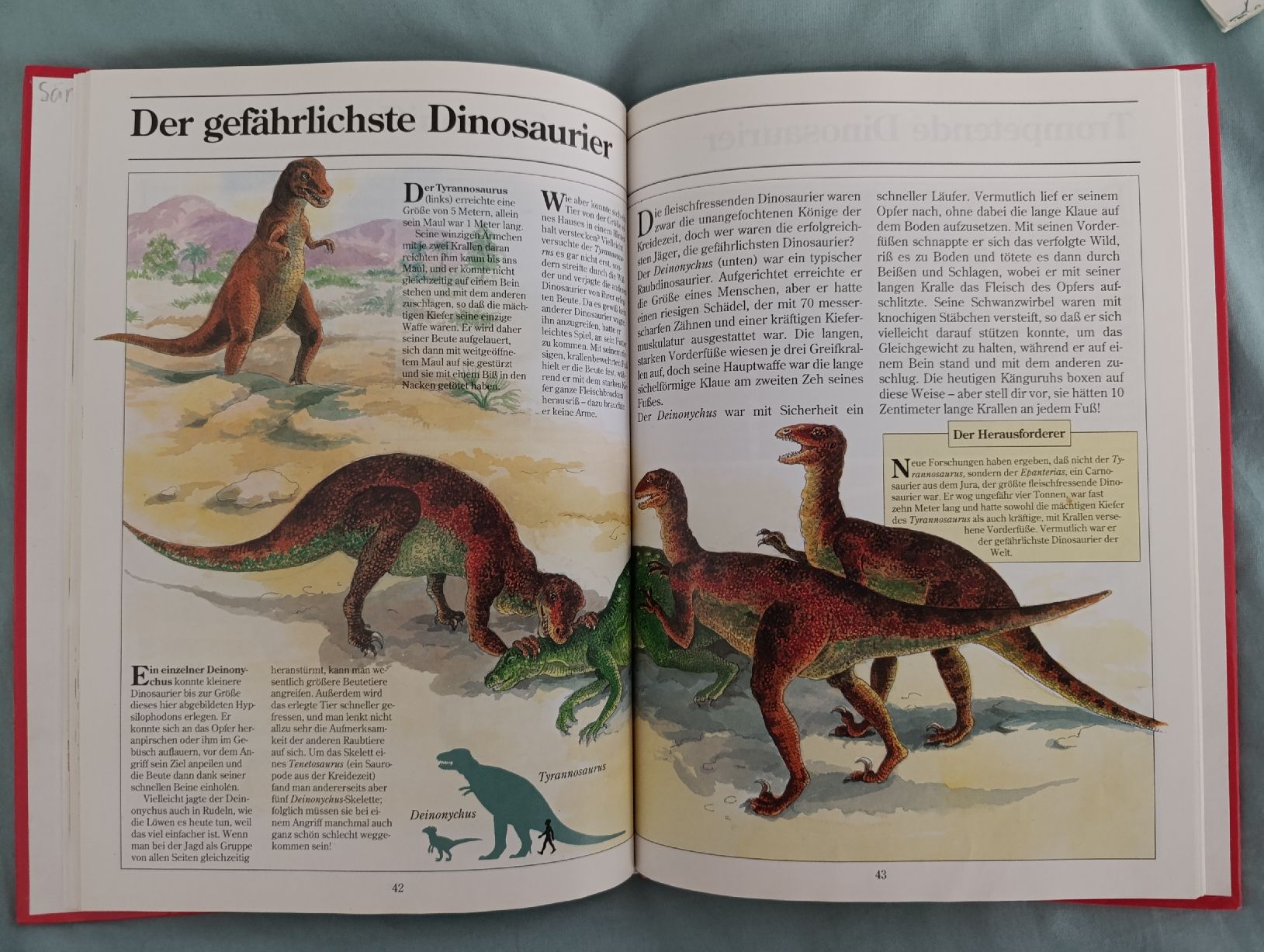 Libri: Buch Den Dinosauriern auf der Spur – Usato da Heimberg venduto da the_dealer88 1