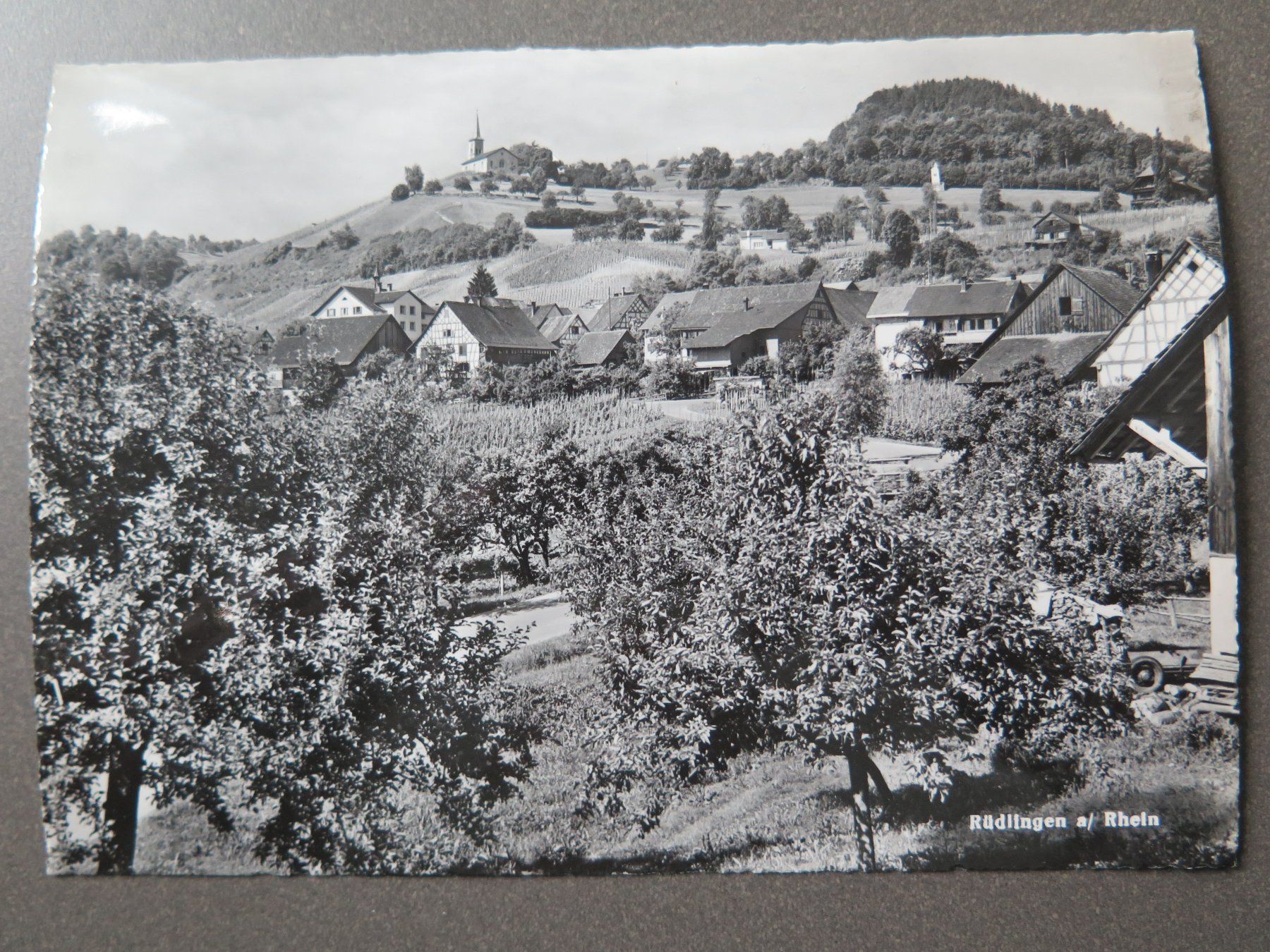 Cartoline postali: RÜDLINGEN A/RHEIN – Usato da Wittenbach venduto da lipasal