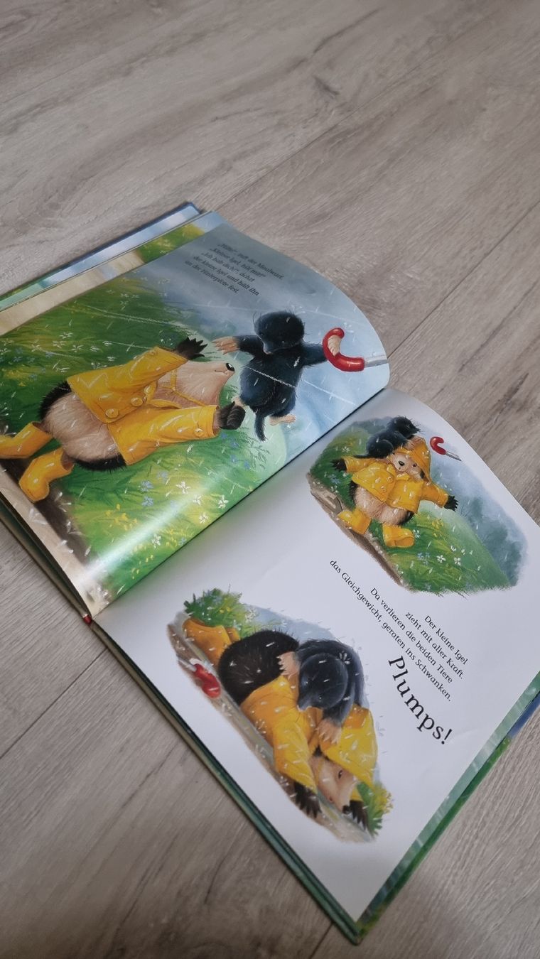 Bücher: Kinderbuch: Der kleine Igel rettet seine Freunde. – Gebraucht aus Wigoltingen von Zuckerfee84 5