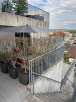 Sonnenschirm anthrazit 295 x 295 x 245 cm mit LED(ohne Fuss)