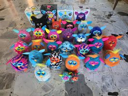 Furby Sammlung gemäss Fotos