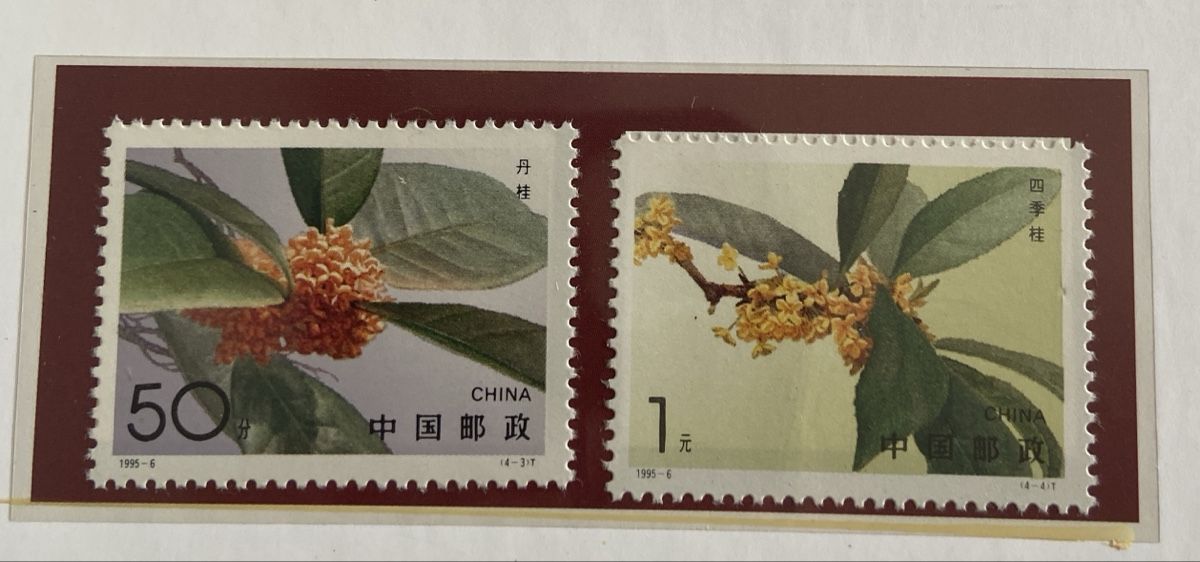 Tous les timbres: China stamps 1995 Golden Osmanthus – Neuf (Voir description) à Collex par RCXGJ 1