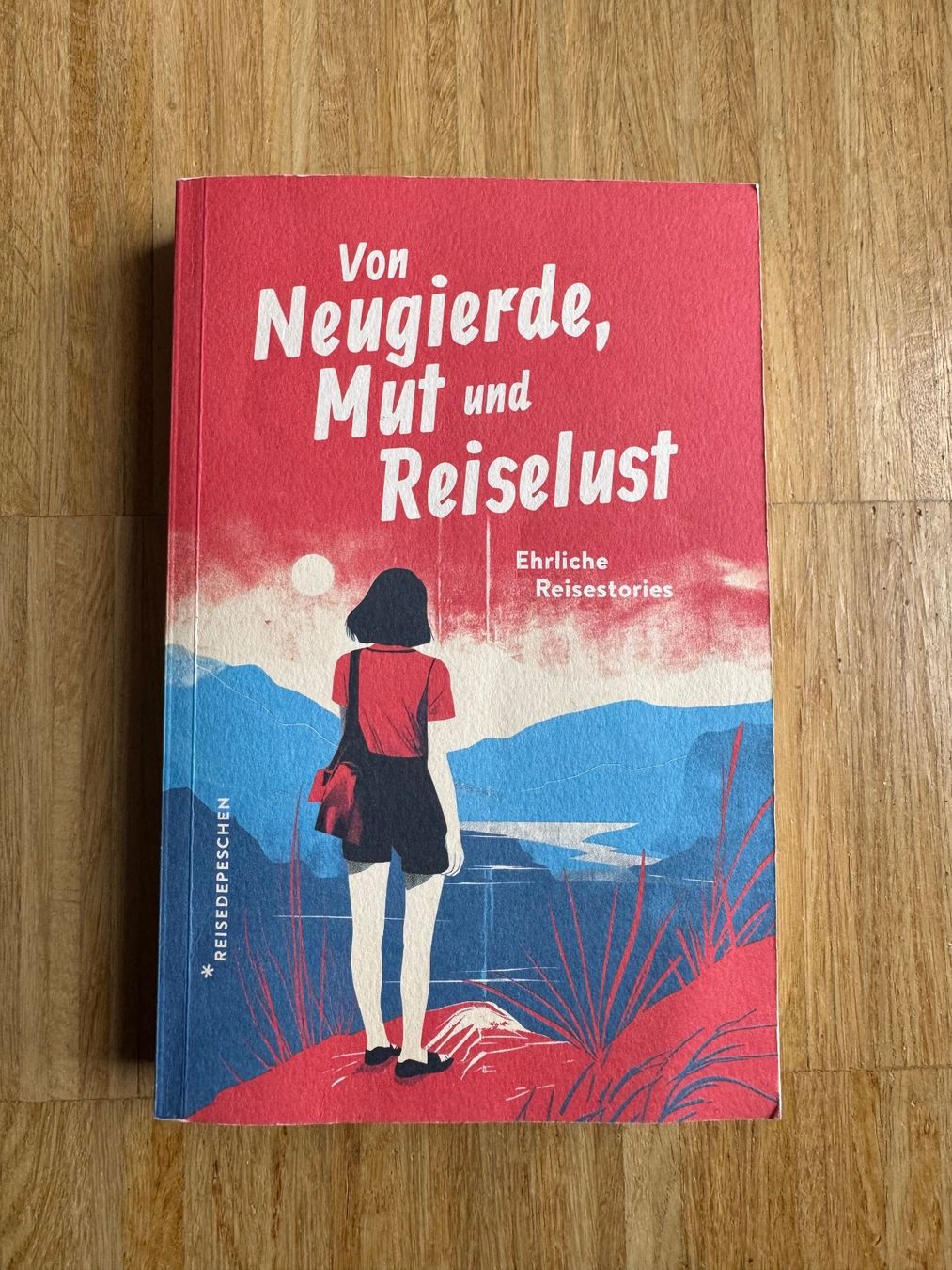 Libri: Reisebücher Set,  Bücherpaket, Lesebücher – Usato da Zürich venduto da mikedome 4