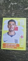 Panini ENG 11