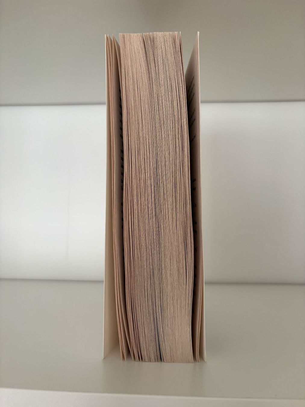 Libri: Red Queen - Victoria Aveyard – Nuovo (secondo la descrizione) da Steffisburg venduto da elsa.catalina 3