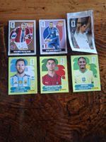 panini sticker
