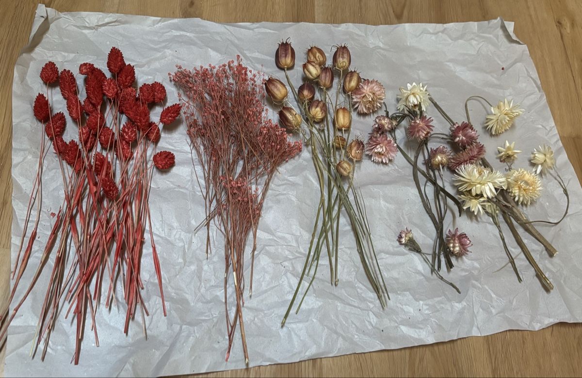 Tutte le decorazioni: Trockenblumen Set – Usato da Roggwil BE venduto da R..