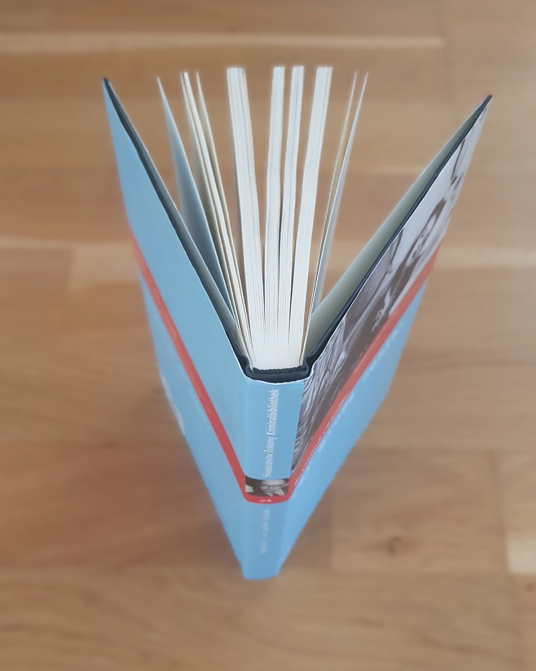 Libri: Der grosse Schlaf / Raymond Chandler – Usato da Emmenbrücke venduto da Re6020 2