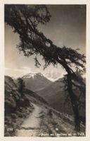 Schafberg