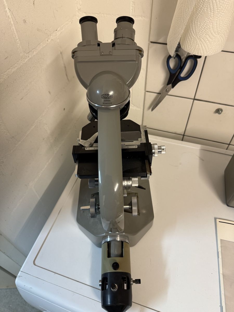 Olympus Microscopi: olympus eh mikroskop – Usato da Zunzgen venduto da milesdavis76 5