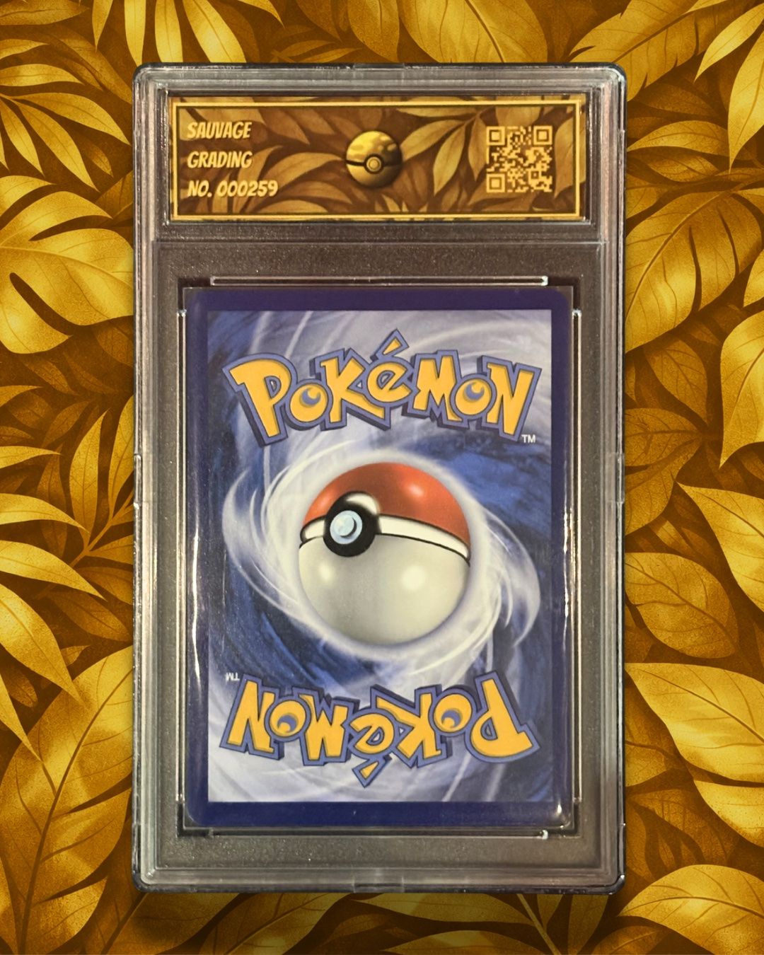 Mega Charizard X EX MEP 029 - SG 10 - GEM MT - FR (Neu (gemäss ...