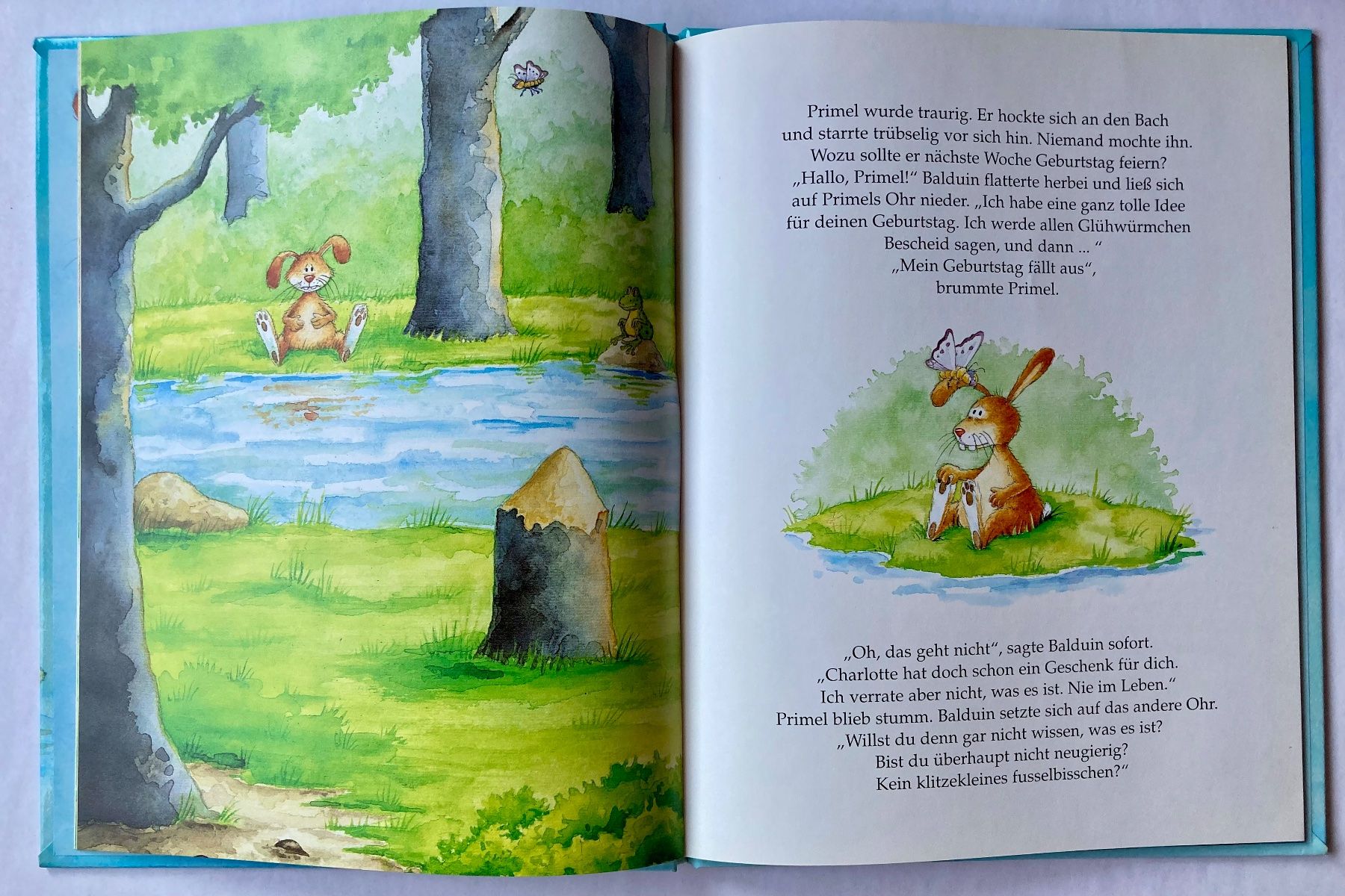 Livres: PRIMEL UND DAS ALIBI – Neuf (Voir description) à Bubendorf par Alpenheidi 5