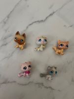 Set Pet shop Katzen G2, lot pet shop chats G2