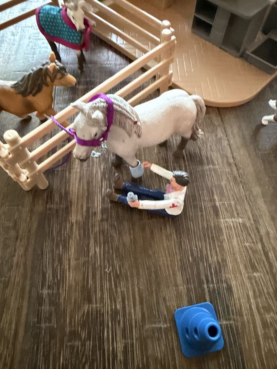 Schleich Giocattoli: Schleich Pferdestall und Krankentransporter – Usato da Wilen b. Wollerau venduto da phibekuemin 6
