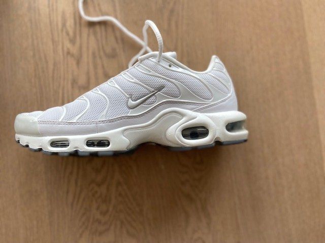tn 3 triple white