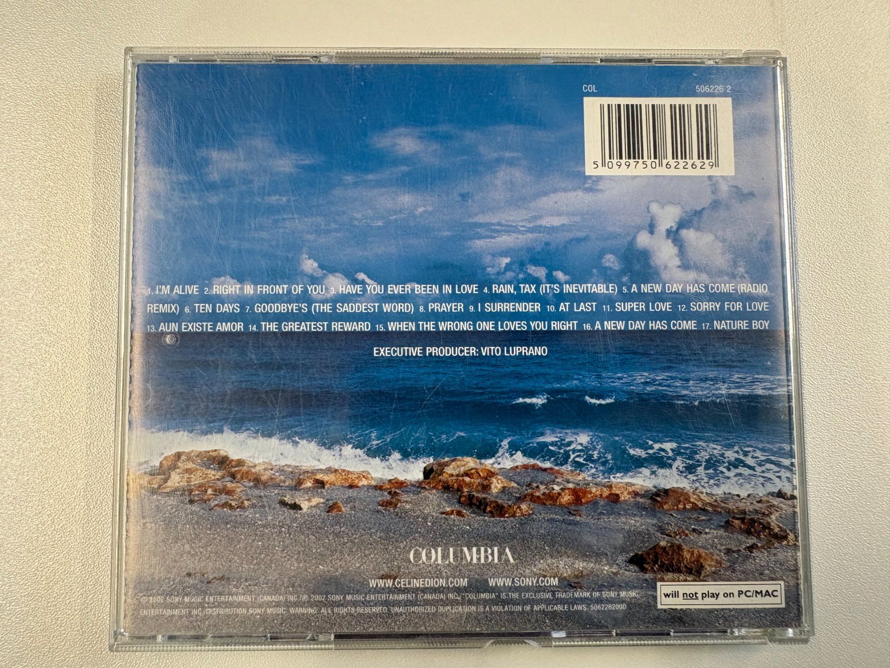 CD: Celine Dion - A New Day Has Come – Usato da Oberbütschel venduto da SimBla91 1