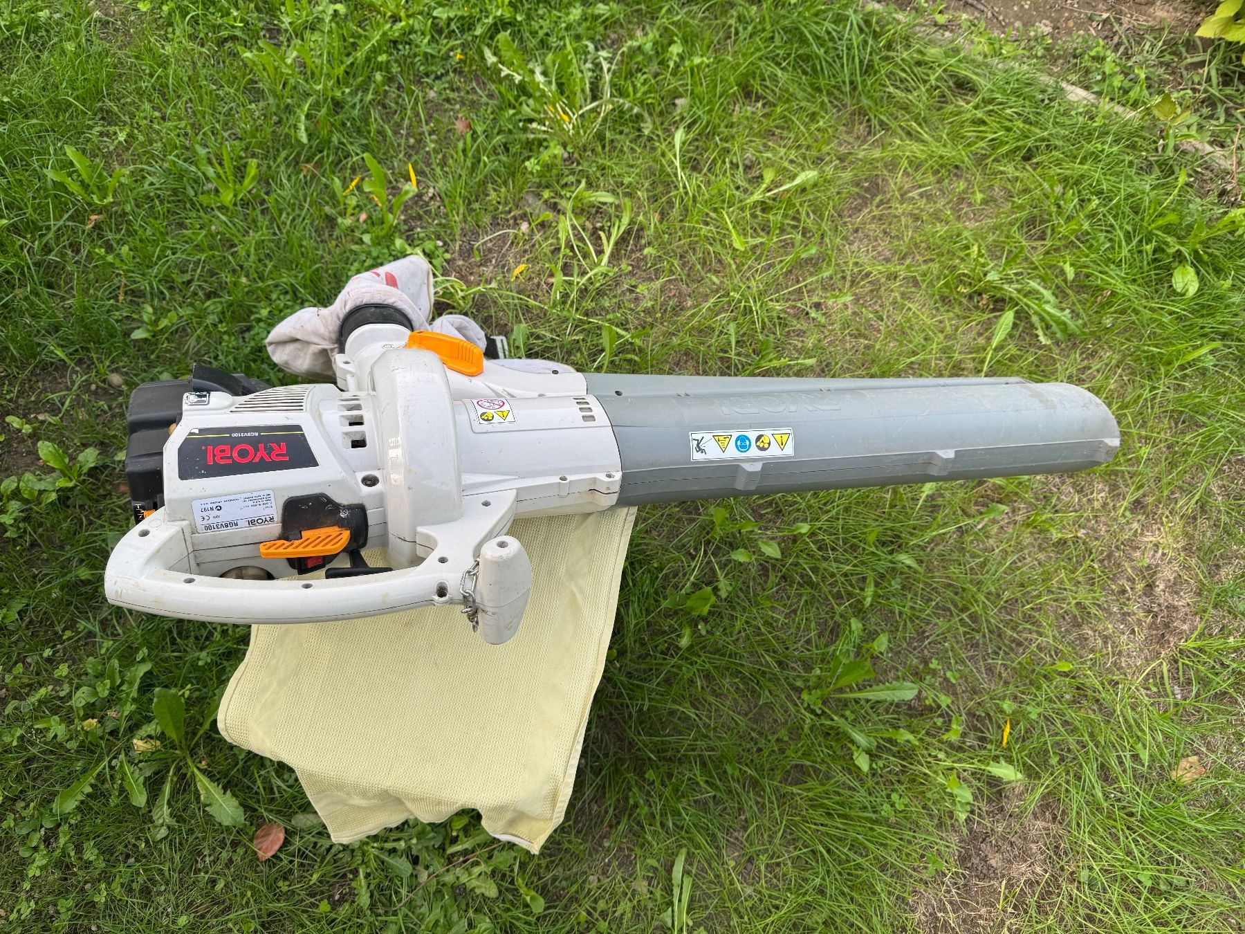 Ryobi Soffiatori & Aspiratori per foglie: Laubbläser/-sauger – Usato da Bubikon venduto da hanspeterbhp 2