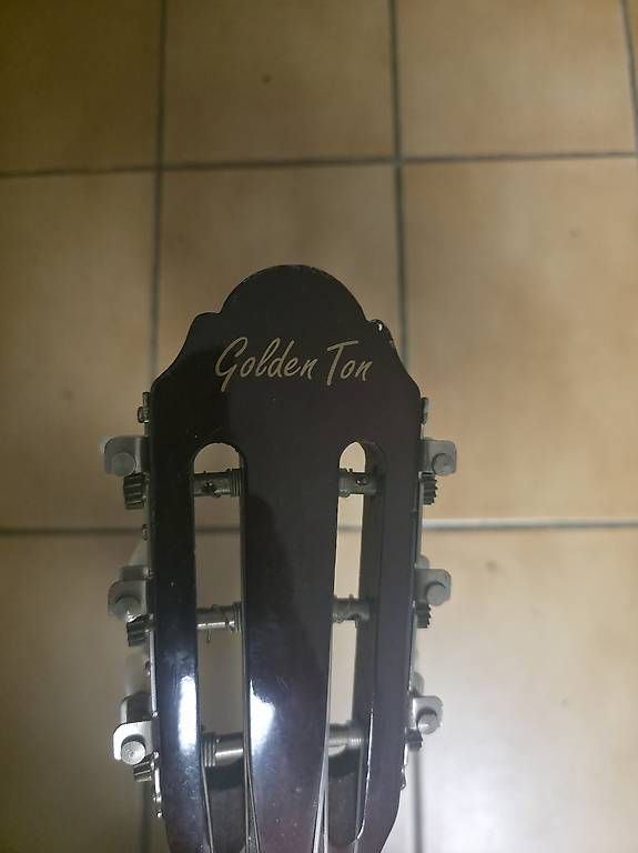 Strumenti musicali: Vendo chitarra Golden Ton – Usato da Faido venduto da SX32 1