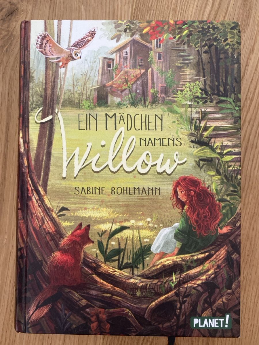 Livres: Buch EIN MÄDCHEN NAMENS WILLOW – D'occasion à Rothenfluh par myfra