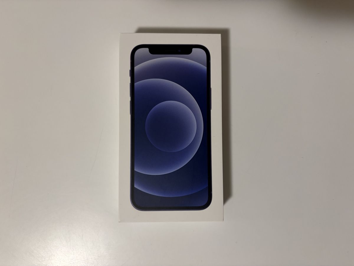 Apple Telefoni cellulari / Smartphones: iphone 12 mini – Usato da Susch venduto da Ascaso