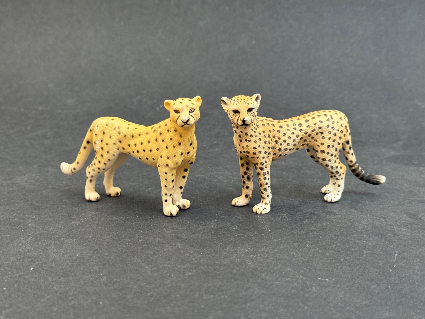 Schleich Statuette: Schleich Grosskatzen Leopard Gepard Schwarzer Panther – Usato da Ennetbaden venduto da mapa05 7