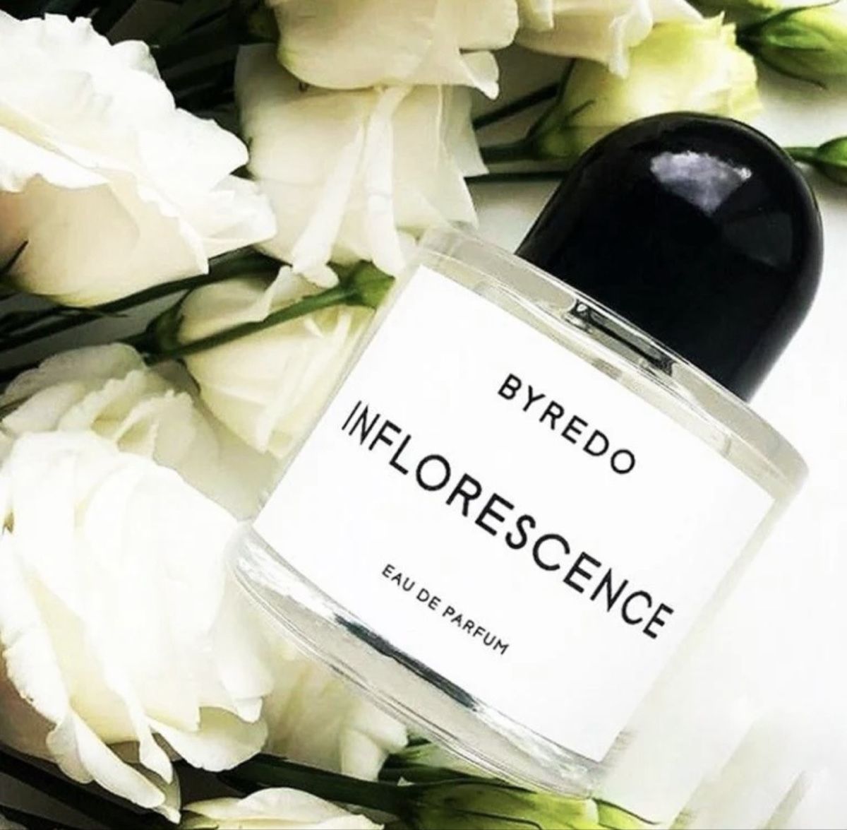 Byredo Profumi & Eau de Toilette: Inflorescence Byredo 50ml – Usato da Mönchaltorf venduto da alpina_1 7