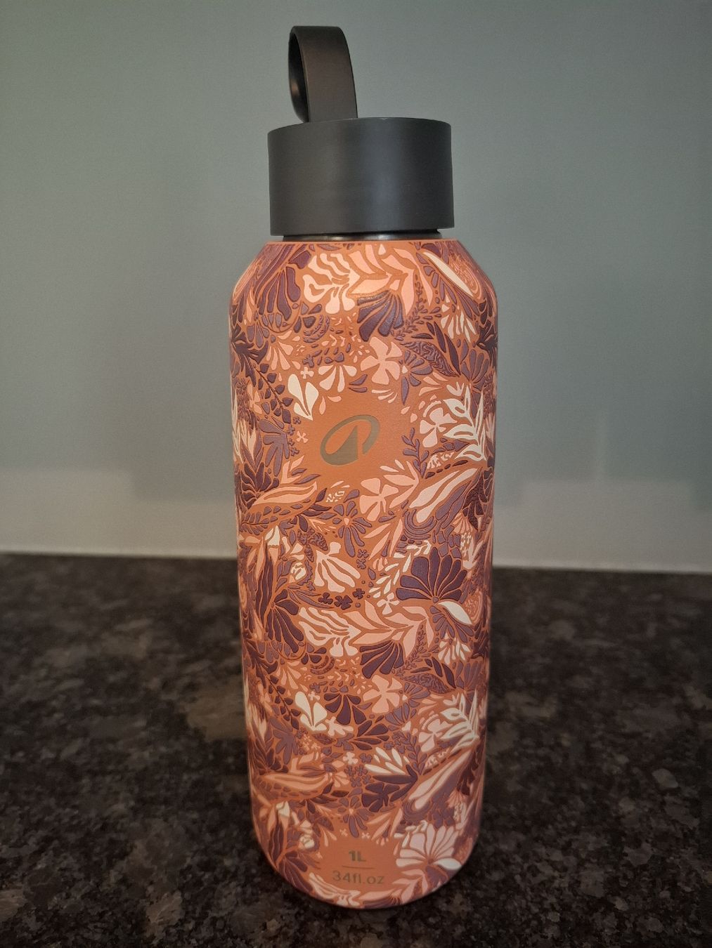 Borracce & Thermos: Bouteille isotherme Decathlon 1l – Nuovo (secondo la descrizione) da Neuchâtel venduto da FloKo88 1