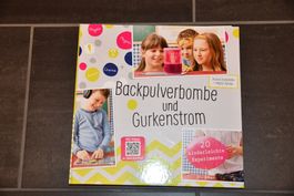 Buch Experimente ; Backpulverbombe und Gurkenstrom,