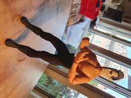 Misfits Doyle Wolfgang von Frankenstein 21st Century Toys
