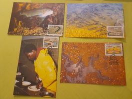 Lot de 4 cartes postales Ciskei Afrique du Sud vintage!