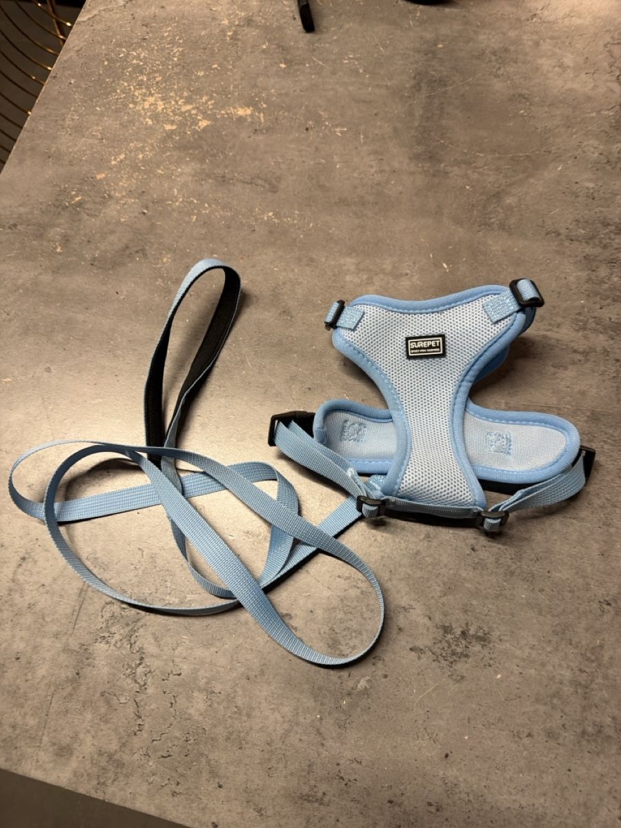 Guinzagli & Collari: Cat harness  – Nuovo (secondo la descrizione) da Basel venduto da agi_f72z