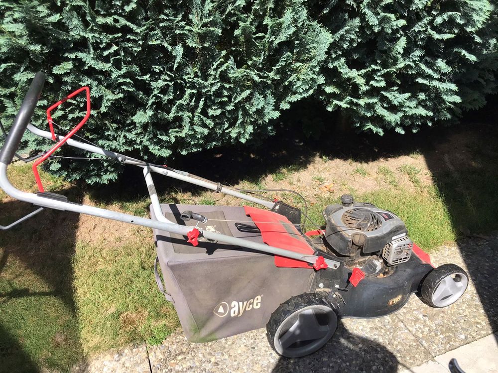 Briggs And Stratton Rasenmäher Kaufen Auf Ricardo 2283