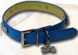 Hunde Hals Band M BLAU Knochen Strass M Leder in Krokodil