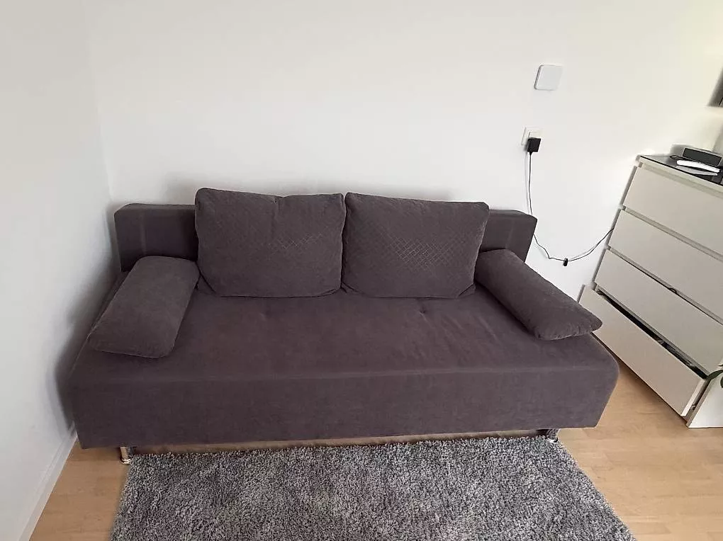 Divani: Sofa mit Schlaffunktion / Schlafsofa – Usato da Opfikon venduto da Gomborix 1