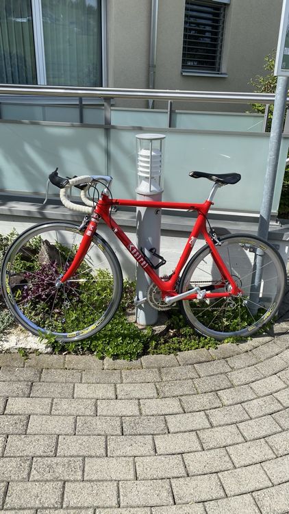 cycle store near by me