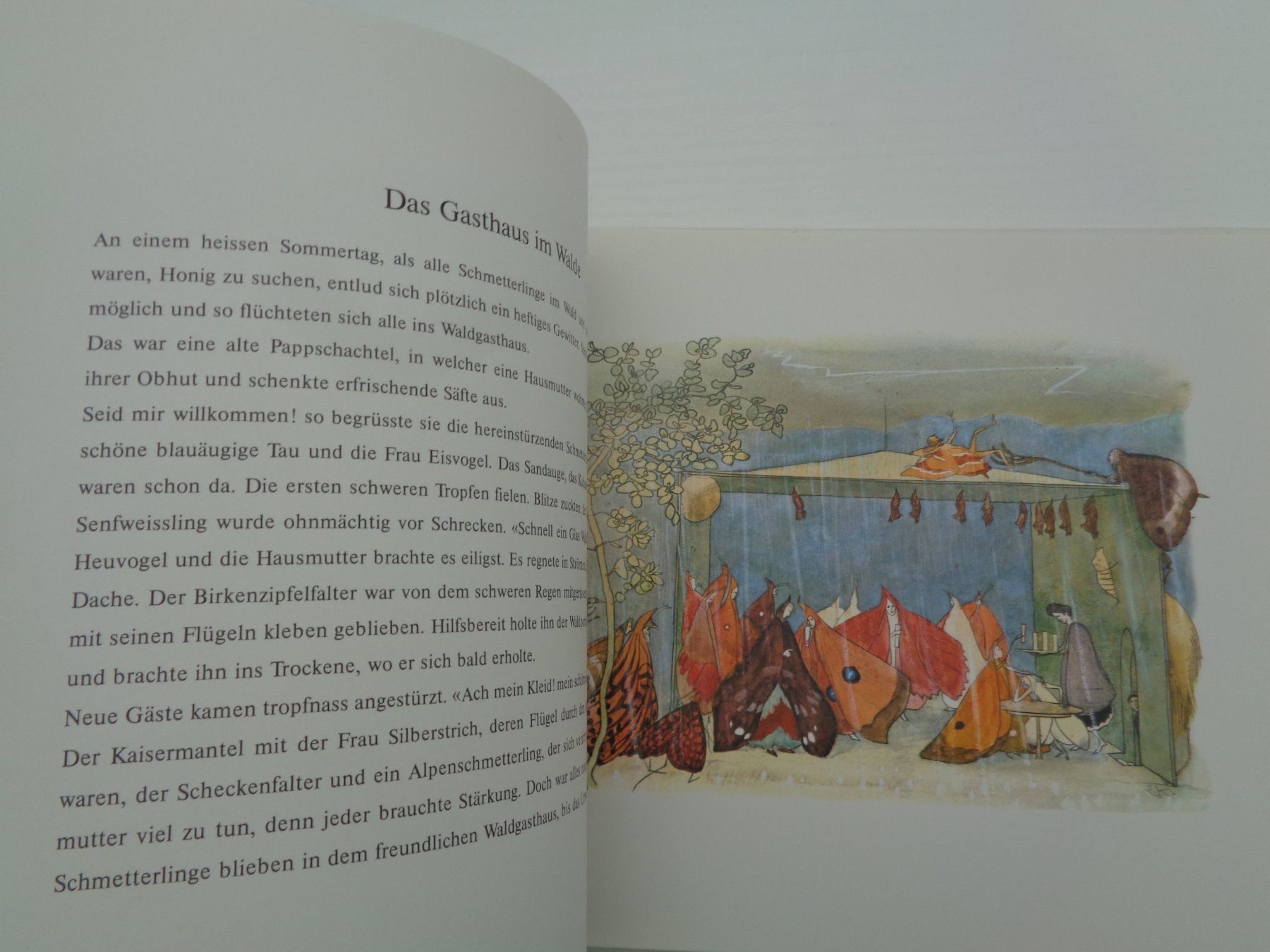 Libri: Der Traumgarten - E.Kreidolf - 1988 – Usato da Chur venduto da Oregano1 4
