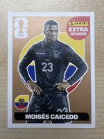 Panini Extra Sticker Moises Caicedo Bronze