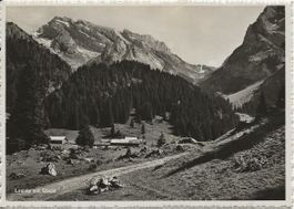 Wildhaus SG Laui Alp-Hütte + Säntis 1940 sehr gut erhalten