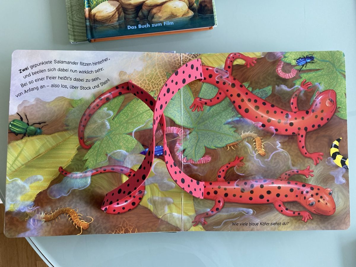 Libri: Pop-up Buch "Auf dem Salamander-Felsen" – Usato da Schmerikon venduto da SwissKFO 2