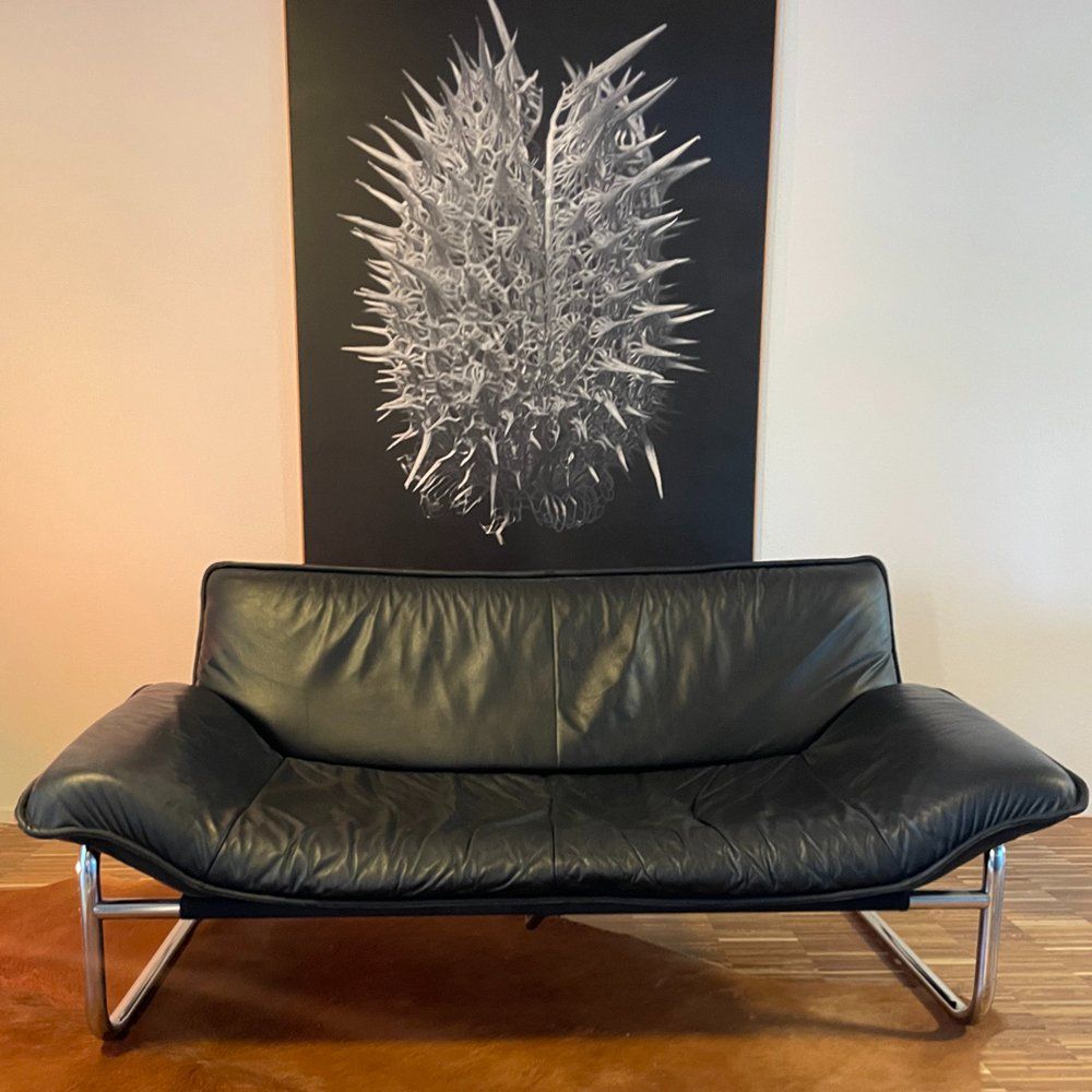 Divani: Zwei-Sitzer Ledersofa von Johan Bertil Häggström – Usato da Aarau venduto da FlashmobGmbH