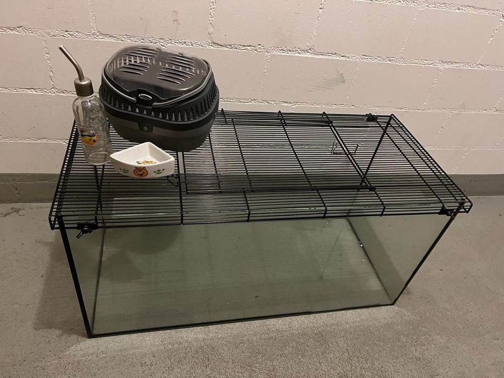 Glas Terrarium Kaufen auf Ricardo