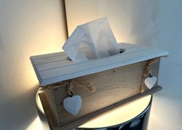 HoLz TiSSuEbOx