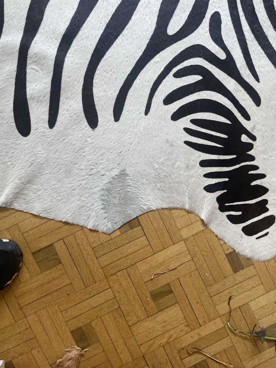 Tappeti: Tierfell Teppich – Usato da Münchwilen TG venduto da SeHuDoHu 1